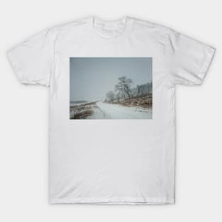 blizzard scene T-Shirt